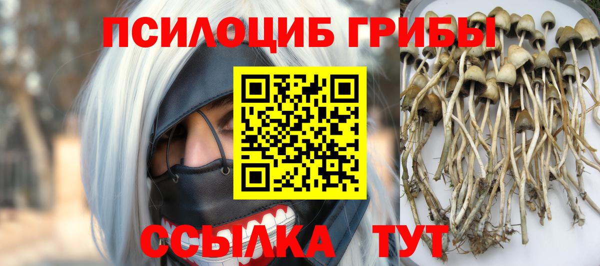 Галлюциногенные грибы MAGIC MUSHROOMS Белогорск