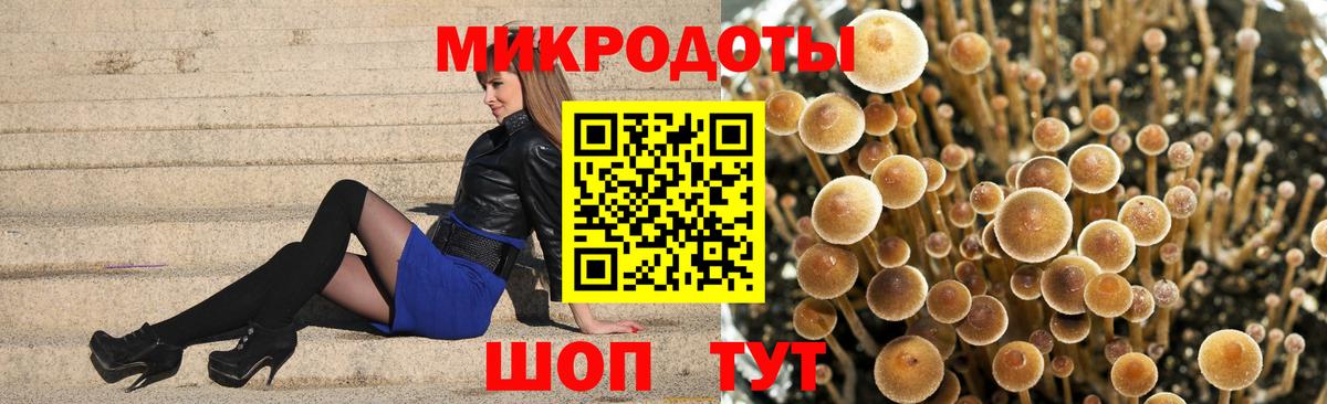 цена   Псилоцибиновые грибы GOLDEN TEACHER  Вход с VPN  Белогорск 